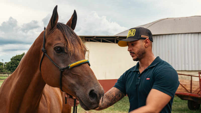 Hipismo em Foz do Iguaçu: aulão enriquece a experiência dos atletas