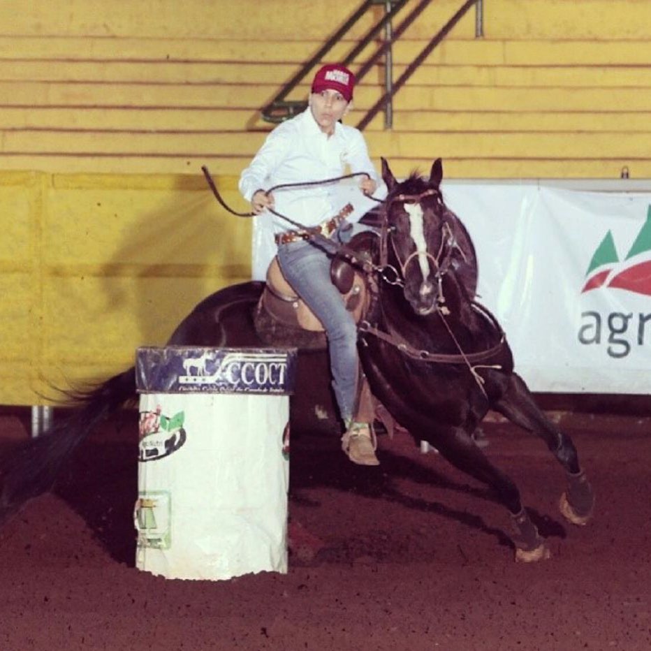 Domingo (25) terá aulão de Hipismo em Foz, saiba como assistir