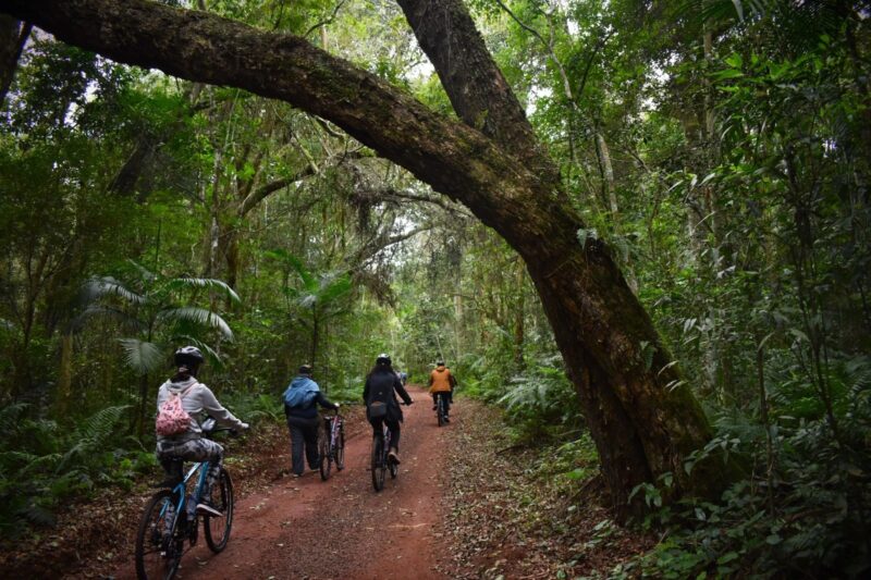 Bike Poço Preto: passeio guiado pela floresta da Mata Atlântica