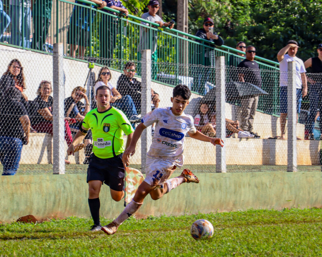 Crias do Azulão Paranaense