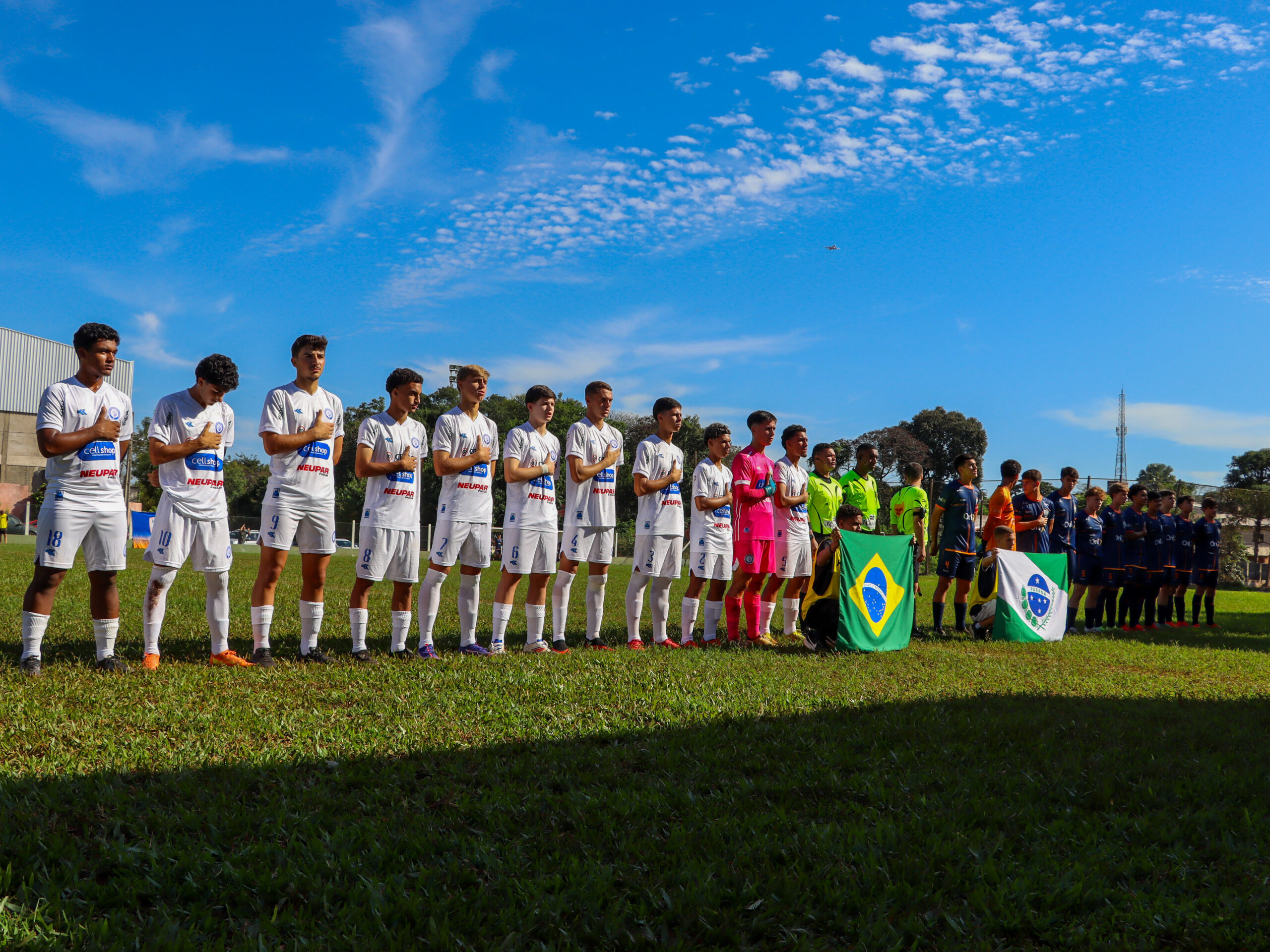 Crias do Azulão Paranaense