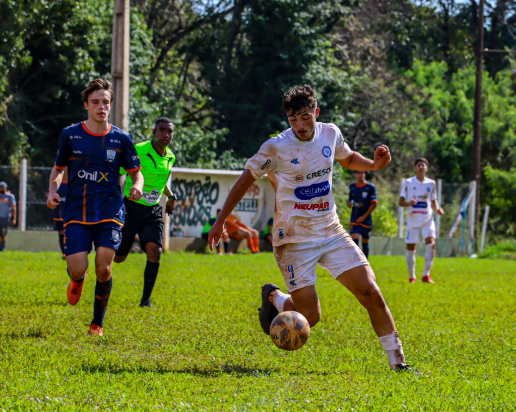 Crias do Azulão Paranaense